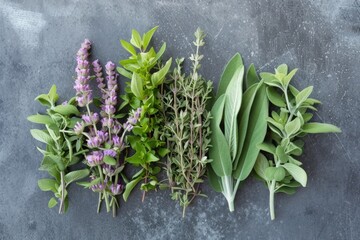 herbes de provence, mixed herbs on a grey table