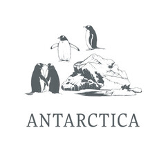 Antarctica vector illustration 