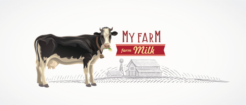 Cow, drawn in color, and of a rural landscape with a farm, illustration in a graphic style, with a reference of design packaging.