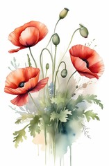 Blooming bouquet of red poppies. Watercolor flowers. Beautiful bright banner with red poppies and green leaves.