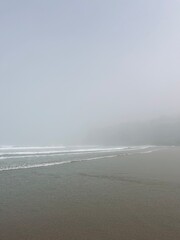 foggy ocean coast, fog at the ocean beach