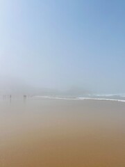 foggy ocean coast, fog at the ocean beach