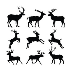 Deer Silhouette Isolated on White Background