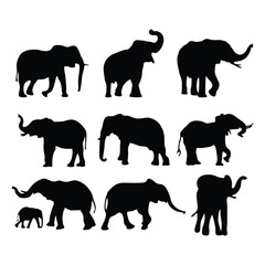 Set of elephant silhouettes in different poses