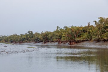 Sundarbans reserve forest of Bangladesh. this photo was taken from sundarbans national park.Bangladesh.
