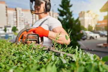 Competent male gardener in uniform, safety mask and gloves cutting bushes during summer time....