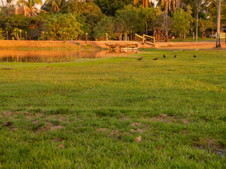 Sunset in rural Brazil