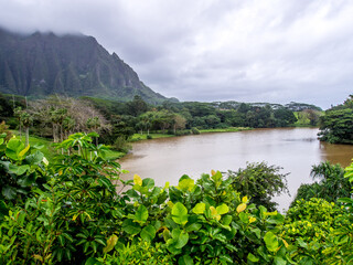 Fototapeta na wymiar Waokele Pond in Hoomaluhia Botanical Garden on the Hawaiian island of Oahu