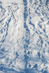 Snow covered with many footprints.