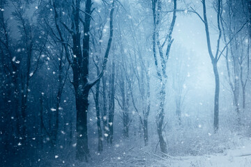 winter forest fantasy background with snow flakes