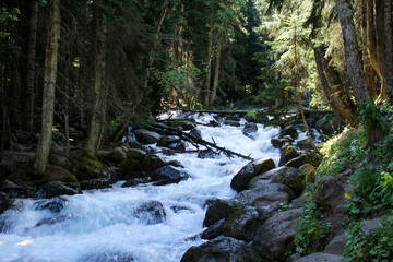 Fast Stream In Mountain. Forest River Mountain. Raging River.