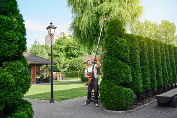 Competent gardener using electric hedge trimmer for cutting green thujas on back yard. Caucasian...