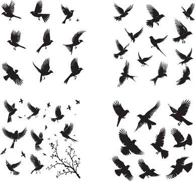 Vector silhouette flying birds set on white background 