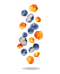 Group of ripe juicy blueberries and cloudberries close up in the air on a transparent background