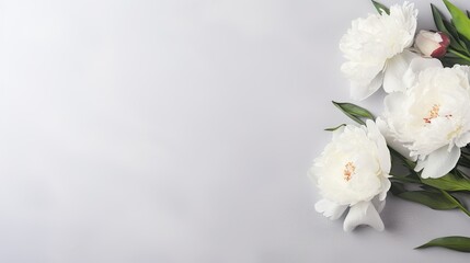 Tribute: Wide banner with fresh white peony flowers on a light gray background.