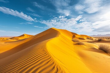 Fototapeta na wymiar Huge sand dunes in the middle of a desert