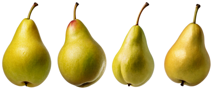 Four Ripe Pears on Transparent Background