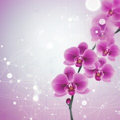 Fototapeta na wymiar orchid smooth background with some light grey infrastructure symbols and connections technology background 