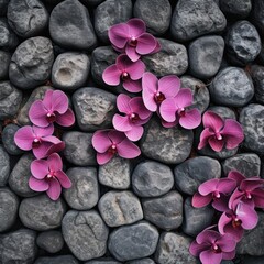 Fototapeta na wymiar orchid wallpaper for seamless cobblestone wall or road background