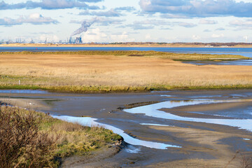 Nature reserve Kwade Hoek on the island Goeree-Overflakkee in The Netherlands with the industry at the Maasvlakte in the background.
