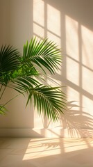 Fototapeta premium Sunlight shining through a window onto a palm tree