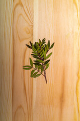 A sprig of a dried plant on a wooden board