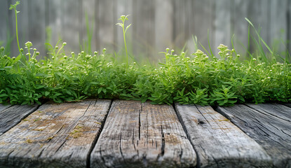 wood and green grass on the wooden bench in