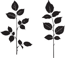 Vector silhouette plants white background 