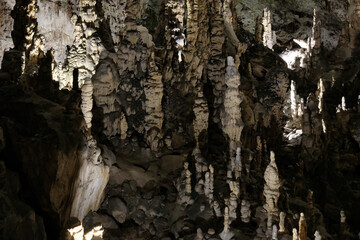 Postojna Cave is a karst complex in Slovenia, it is the largest and most visited caves in Europe with almost 21 km of caves and tunnels.