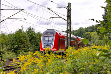 A regional train on a free ride through nature