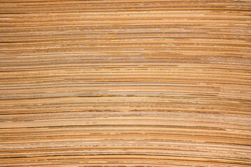 Fototapeta premium Paper and cardboard factory warehouse workers using a digital tablet while recording inventory. Logistic employees working with business management software in a large storage distribution centre