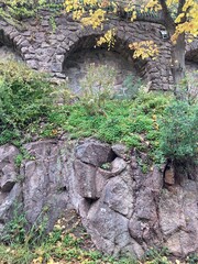 Garden Wall with Foliage Nice, Riviera, France 