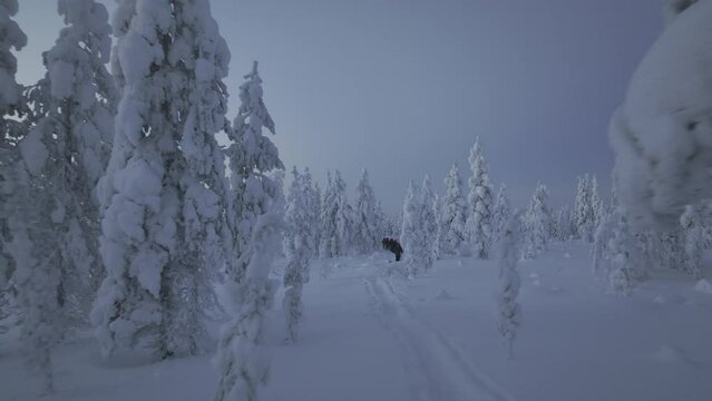 Drone following hikers walking in the Lapland tundra