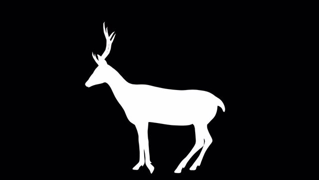 4K Deer Run