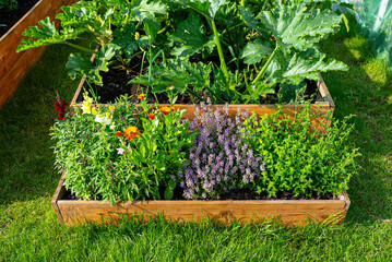 A wooden crate with various vegetables, standing on the grass in the garden.
