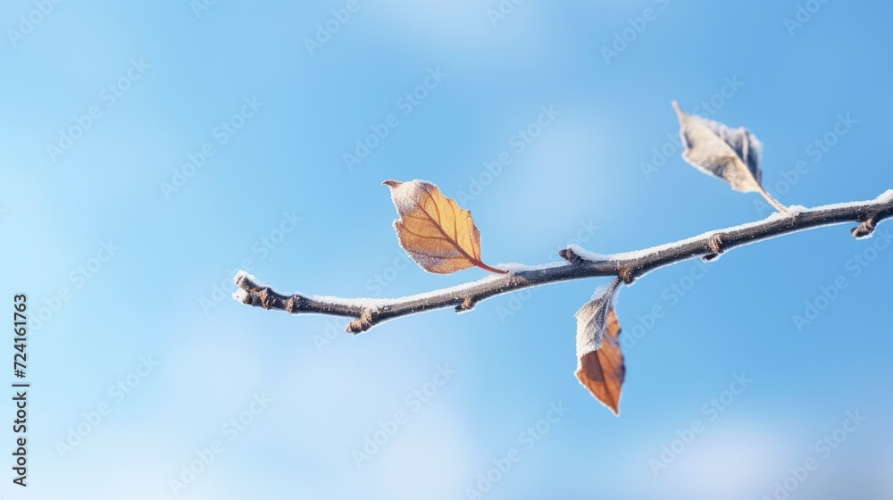 Poster A branch of a tree with a few leaves. Can be used to depict the changing seasons or the beauty of nature