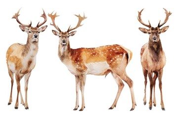 A group of deer standing together. Ideal for nature-themed projects
