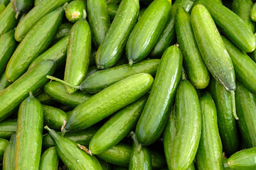 Cucumbers top view, vegetables harvest, food background, place for text