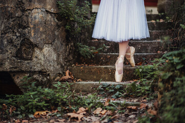 Ballerina's feet descending rustic staircase.