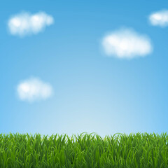Obraz premium Grass Border With Sky And Clouds