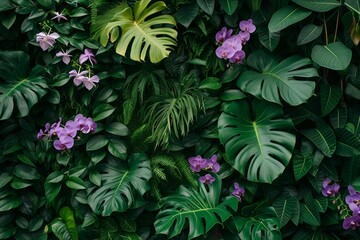 Green creeper, vine or ivy, purple or violet orchid Giant Philodendron, and Monstera leaves and...