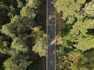 Aerial view of a road between trees in the forest