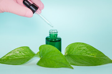 Research on natural medicines, learning about green medicine, Aromatherapy, herbs, spice medicines, Nature supporting health, blue background, copy space