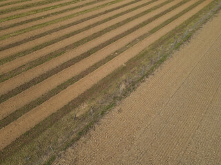 Aerial view of a farm field with soil