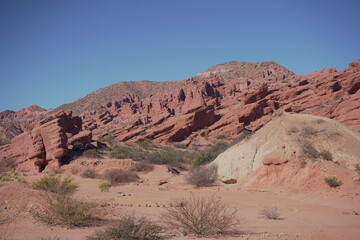 Paisajes argentinos del norte