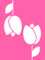 Bild in der Farbe Mangenta mit zwei weißen Tulpen