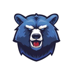 illustration of a bear Isolated © Igor