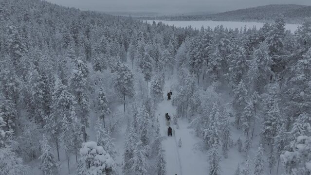 Snow sled hikers in the toundra in finnish Lapland seen from the sky