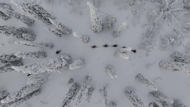 View from above of hikers cross-country skiing in finnish Lapland