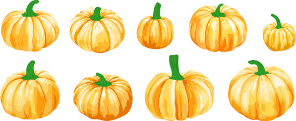 Vector watercolor pumpkin set isolated on white background. Yellow ripe aquarelle vegetables illustration.